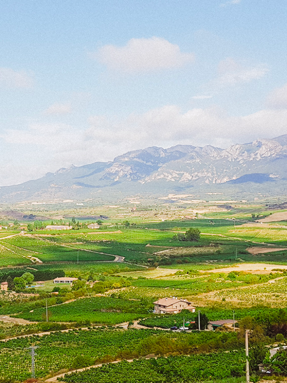 VUE SUR SIERRA CANTABRIA DE LAGUARDIA @Henry CLEMENS