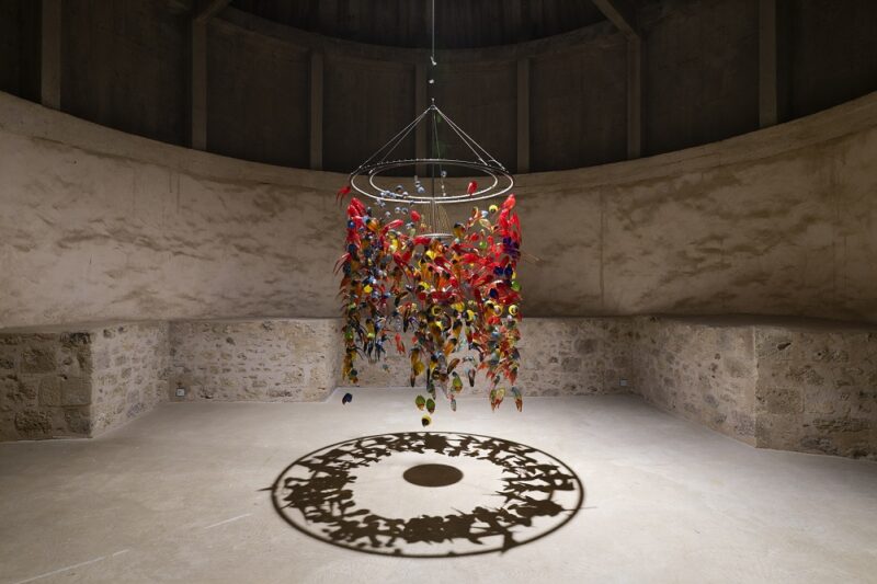 ibiza-musée-rochechouart-photographie-nature-art-contemporain