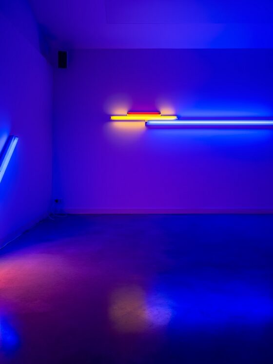 dan-flavin-chateau-chasse-spleen-exposition