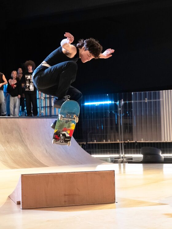 skate-bordeaux-ride-skatepark