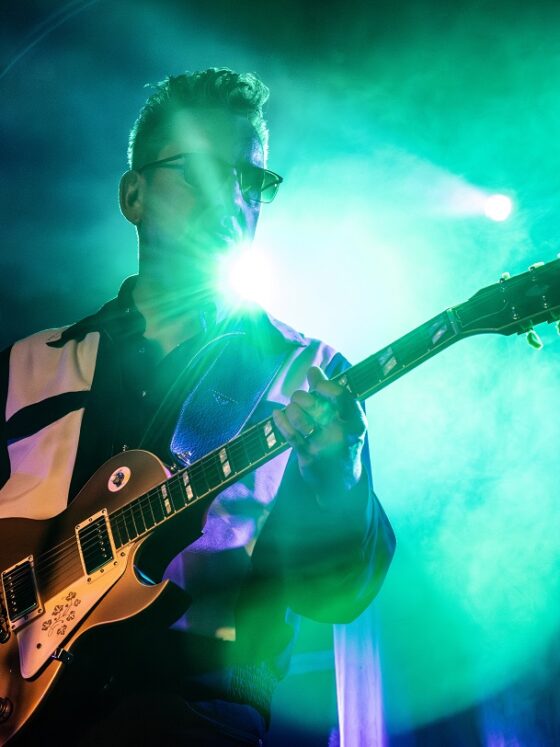 richard-Hawley-rock-star-concert-bordeaux