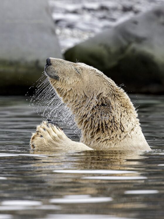 exposition-photo-bassin-arcachon