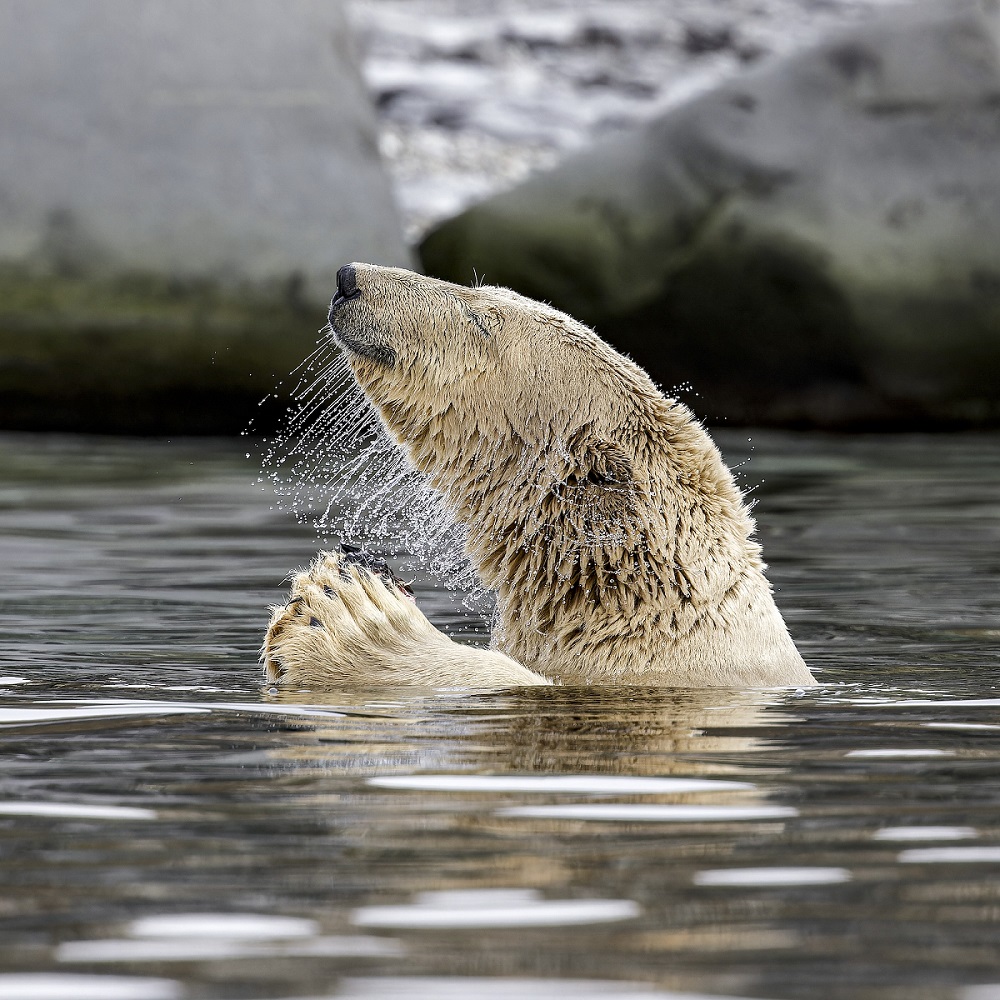 exposition-photo-bassin-arcachon