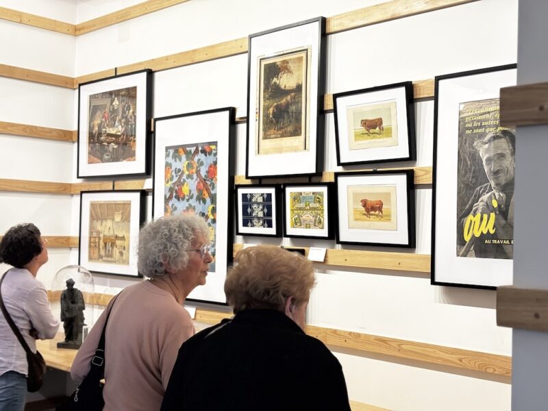 musee-art-histoire-saint-yrieix-la-perche