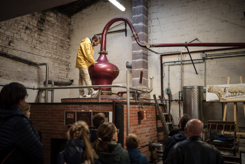 ban-distillation-cognac