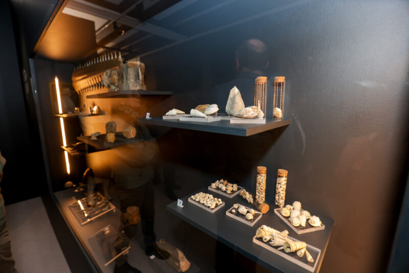 musee-borda-dax