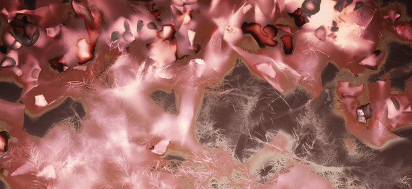 transformations-©Solène-Reymond-visuel-13-transformations, photographie numérique et alternative, couleur, 50 x 70 cm et 60 x 80 cm, impression sur papier Arches 300g, 2023-en cours.