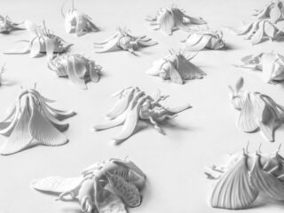 bernardaud-exposition-ceramique-creation-contemporain